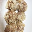 レンジで出来る焼売