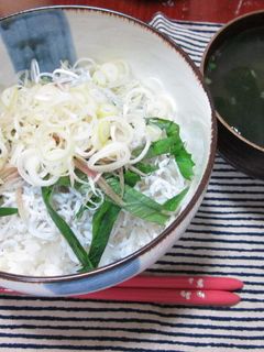 釜揚げしらすとみょうがでさっぱりごはん-レシピのメイン写真