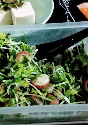 mix薬味-レシピのメイン写真