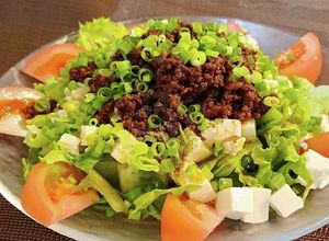 夏バテ知らず！流行りの冷やし麻婆豆腐麺-レシピのメイン写真