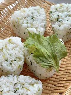菜めしと紫蘇のおにぎり-レシピのメイン写真