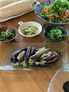茄子 レンチン蒸し-レシピのメイン写真