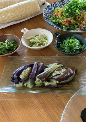 茄子　レンチン蒸し-レシピのメイン写真