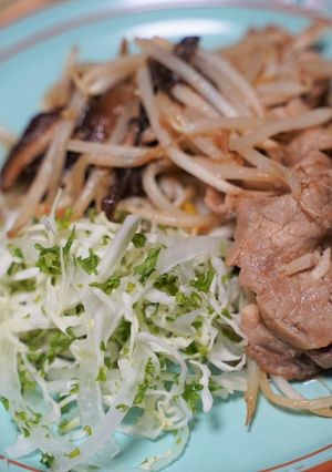 豚ともやしのしょうが焼き-レシピのメイン写真