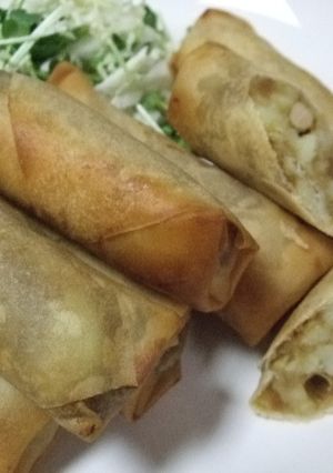 ~〇残りカレーde 春巻き〇~-レシピのメイン写真