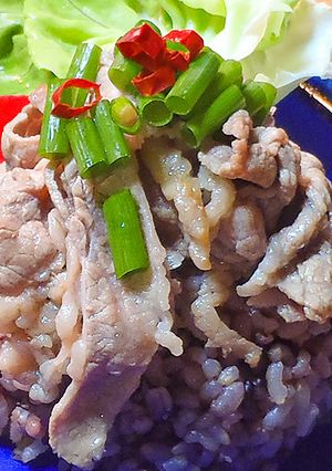 牛肉ごはん-レシピのメイン写真