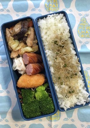 20220711マイ弁当-レシピのメイン写真