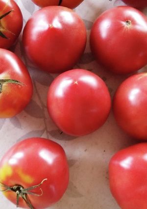 煮るだけのトマトソース、味つけ無し-レシピのメイン写真