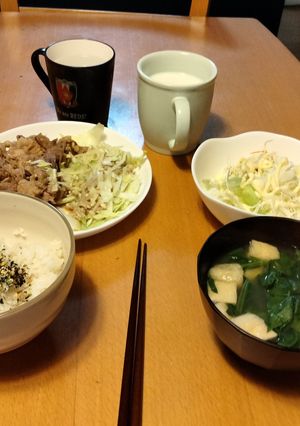 生姜焼き　キャベツ敷き-レシピのメイン写真