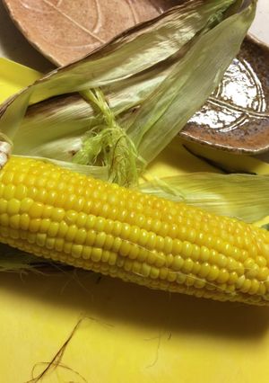 とうもろこしの美味しい食べ方-レシピのメイン写真