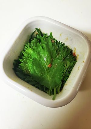 大葉の味噌漬け-レシピのメイン写真