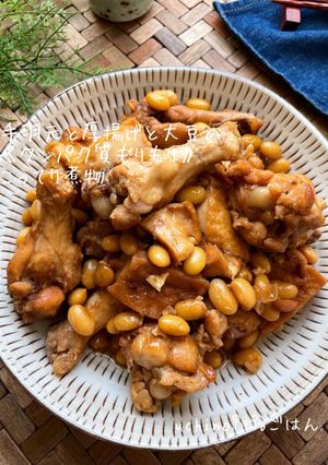 手羽元と大豆と厚揚げのこってり煮物-レシピのメイン写真