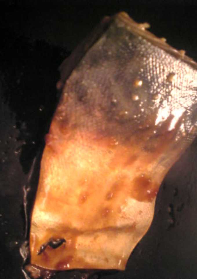 鯖の生姜漬け焼き-レシピのメイン写真
