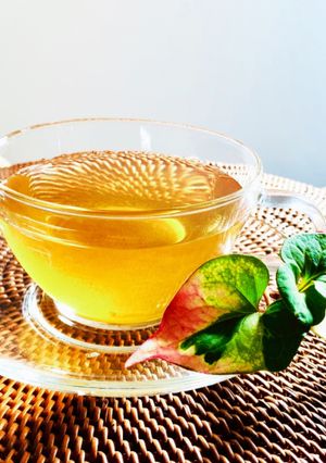 ドクダミ茶-レシピのメイン写真