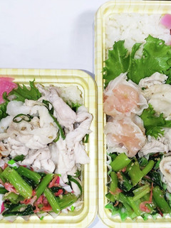 【夫婦弁当241】豚しゃぶと胡麻和え-レシピのメイン写真