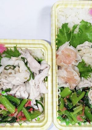 【夫婦弁当241】豚しゃぶと胡麻和え-レシピのメイン写真