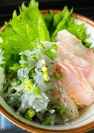 生しらすとウメイロ丼-レシピのメイン写真