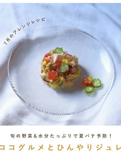 犬ご飯/ココグルメとひんやりジュレ-レシピのメイン写真