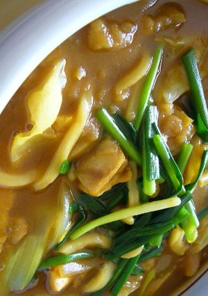 あったまる♪ねぎたっぷりカレーうどん-レシピのメイン写真