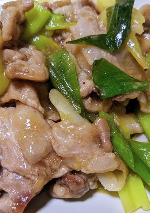 豚こま肉とねぎの生姜炒め-レシピのメイン写真