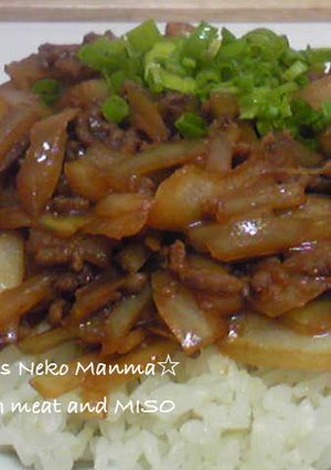 甘辛香ばしい☆肉味噌ライス☆-レシピのメイン写真