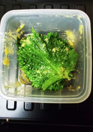 大葉味噌甘糀漬け-レシピのメイン写真