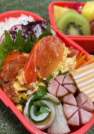 トマトのマヨたま炒め弁当-レシピのメイン写真