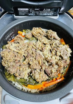 炊飯器でビビンバ!! 子供ウケ抜群♫-レシピのメイン写真