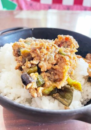 必殺！夏のご飯泥棒！！-レシピのメイン写真