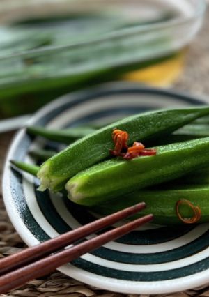 夏野菜堪能！オクラの浅漬け【簡単副菜】-レシピのメイン写真
