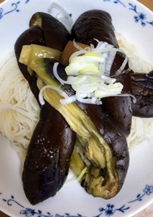 のっけ茄子の冷た～い麺-レシピのメイン写真