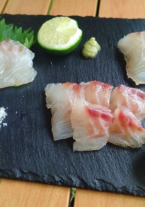 【キャンプ飯】真鯛の昆布締め-レシピのメイン写真