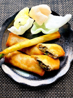 ゴーヤの苦味&柔らか茄子の春巻き-レシピのメイン写真