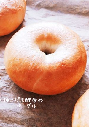 白神こだま酵母のベーグル(HB使用)-レシピのメイン写真