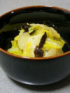 5分で簡単!!!白菜と海苔の和え物-レシピのメイン写真