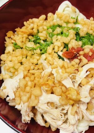 さっぱり食べやすい！ささみ梅しそうどん-レシピのメイン写真