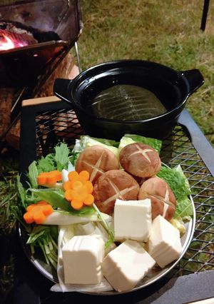 【キャンプ飯】すっぽん鍋-レシピのメイン写真