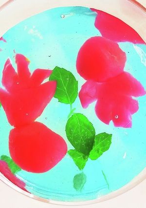 かわいい金魚ゼリー-レシピのメイン写真