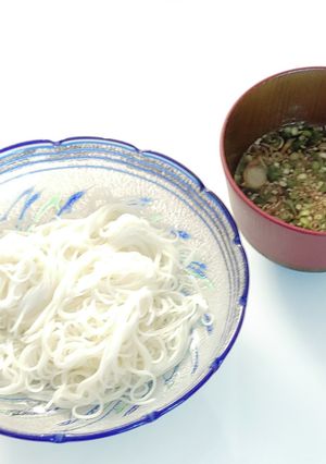 小ぶり冷やしソーメン-レシピのメイン写真