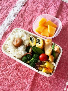 20220719娘ちゃんのお弁当-レシピのメイン写真