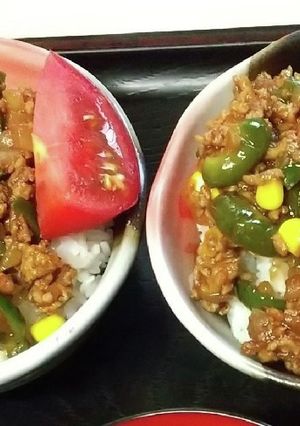 詰めない 肉詰め どんぶり-レシピのメイン写真