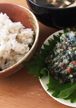 ご飯にも冷たい麺にも◎ナスのなめろう-レシピのメイン写真