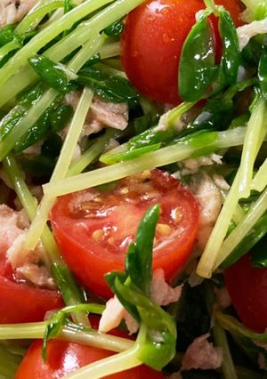 豆苗とトマトのやみつきツナサラダ-レシピのメイン写真
