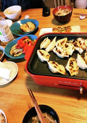 鶏と豆腐のヘルシー餃子-レシピのメイン写真