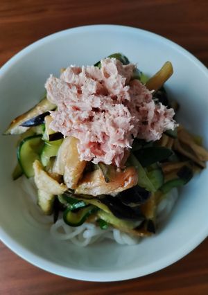 なす&きゅうり即席漬けのつめたい麺-レシピのメイン写真