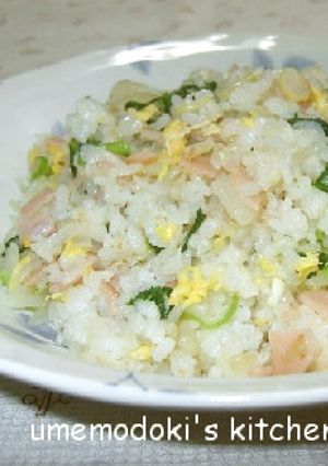 青菜入り炒飯-レシピのメイン写真