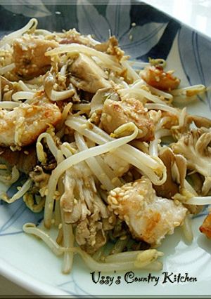 鶏むね肉ともやしの炒め物-レシピのメイン写真
