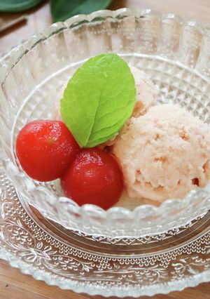 トマトアイス-レシピのメイン写真