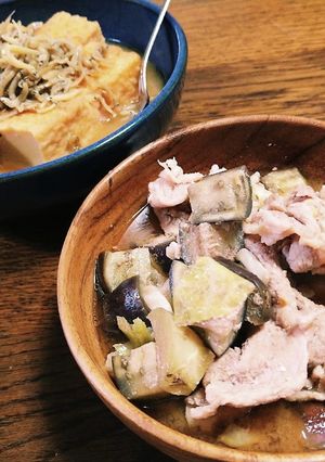 パパの晩御飯Ver.20220722-レシピのメイン写真