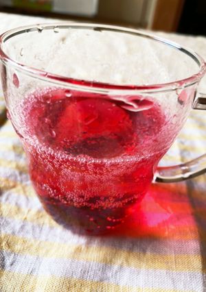 暑い夏をのりこえよう!梅酢ドリンク-レシピのメイン写真